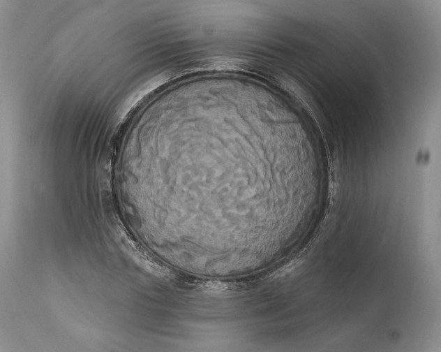 X0000111440827200907271127