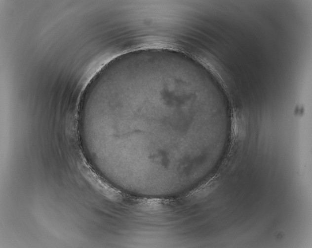 X0000111440828200907271127