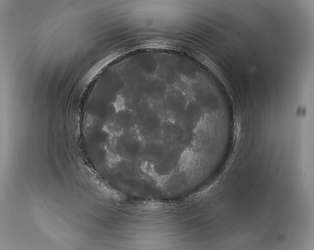 X0000111440829200907271127