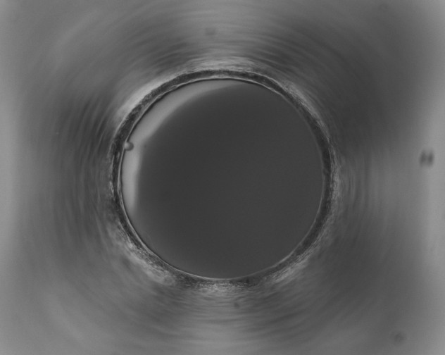 X0000111440830200907271127