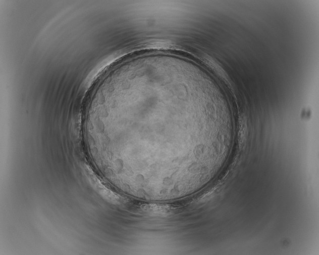 X0000111440831200907271127