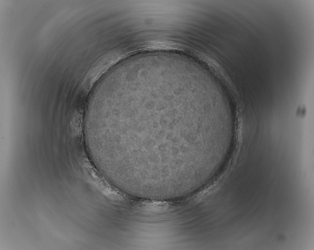 X0000111440833200907271127