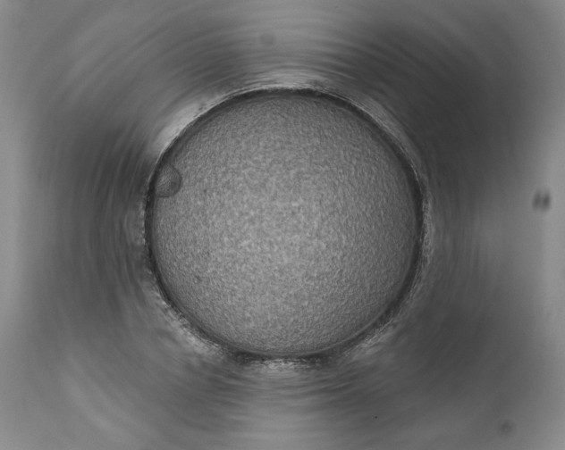 X0000111440834200907271127