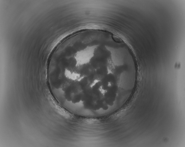 X0000111440837200907271127