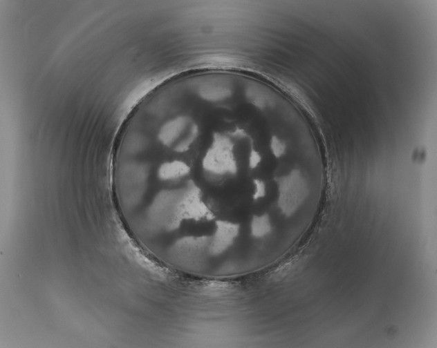 X0000111440839200907271127