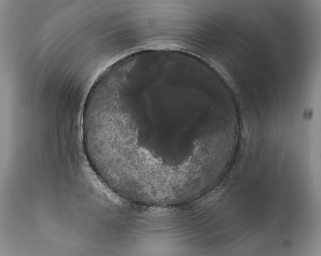 X0000111440840200907271127