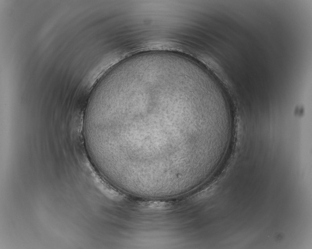 X0000111440841200907271127