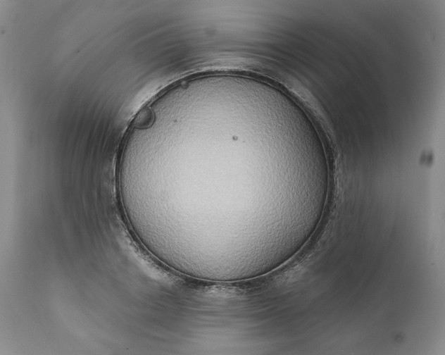 X0000111440842200907271127