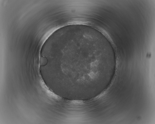 X0000111440844200907271127