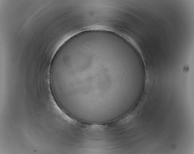 X0000111440847200907271127