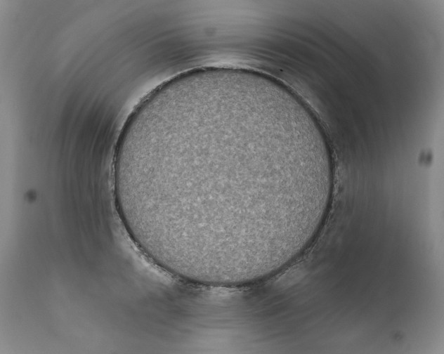 X0000111440848200907271127