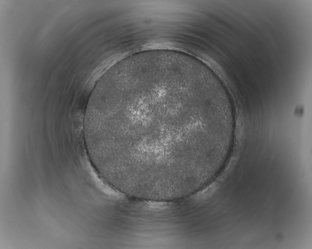 X0000111440849200907271127