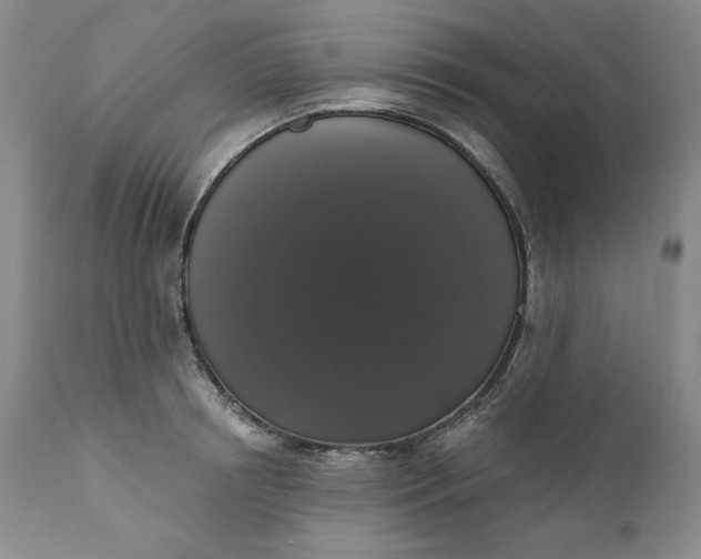 X0000111440850200907271127