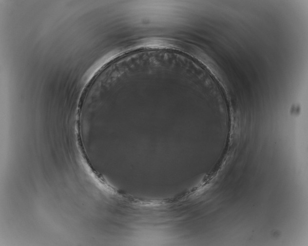 X0000111440853200907271128