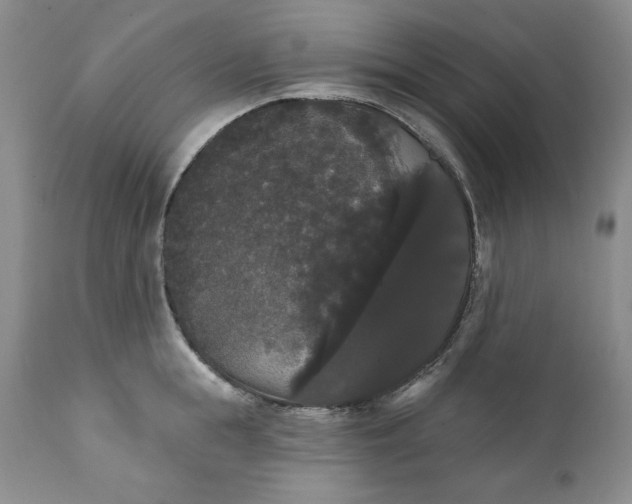 X0000111440855200907271128