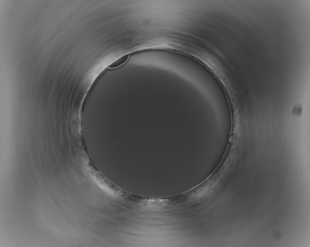 X0000111440858200907271128