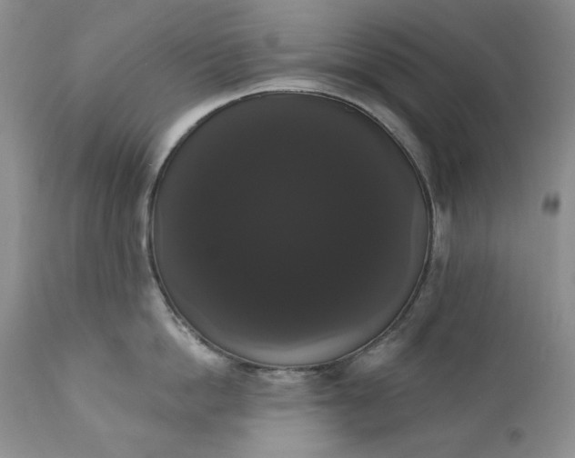 X0000111440862200907271128