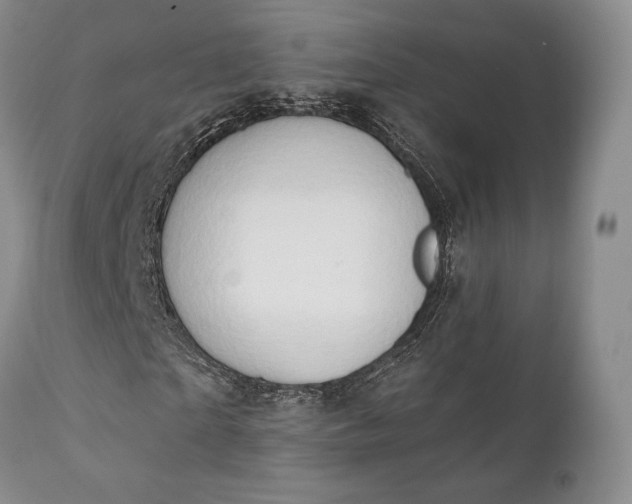 X0000111440865200907271127