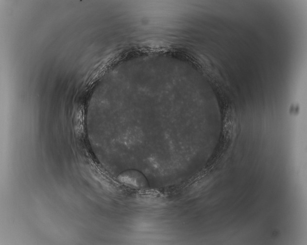 X0000111440866200907271127