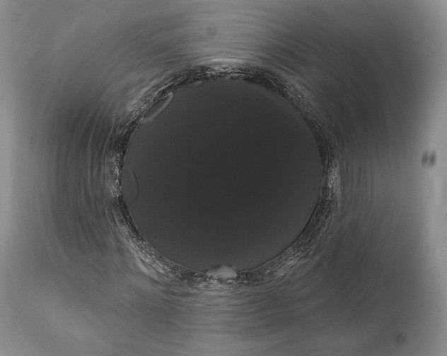 X0000111440868200907271127