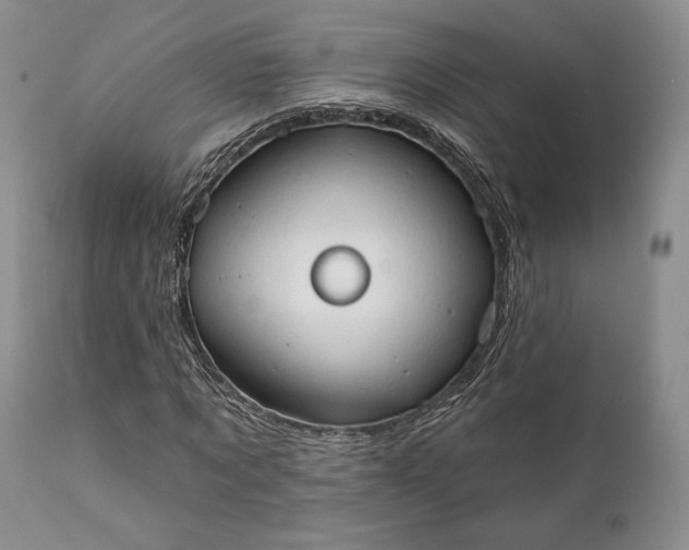 X0000111440869200907271127