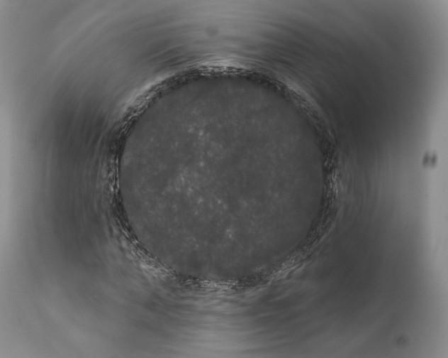 X0000111440870200907271127