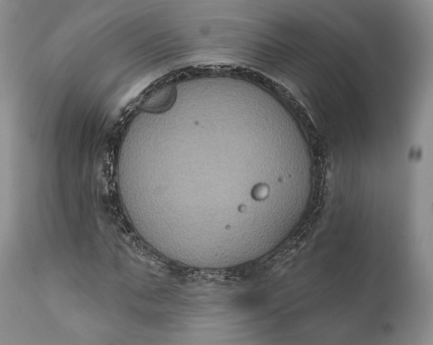 X0000111440871200907271127