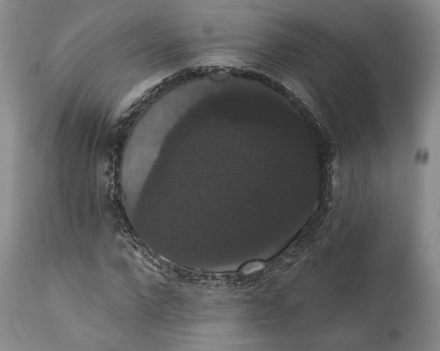 X0000111440872200907271127