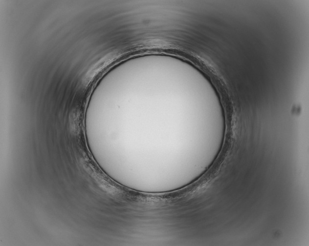 X0000111440873200907271127