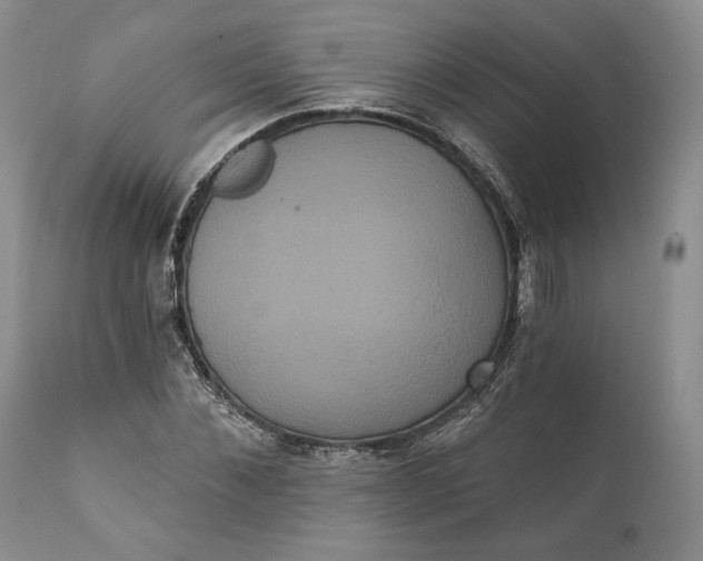 X0000111440876200907271127