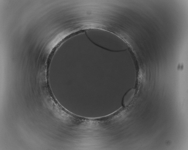 X0000111440877200907271127