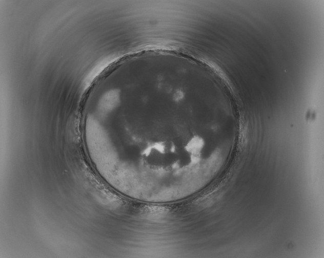 X0000111440878200907271127