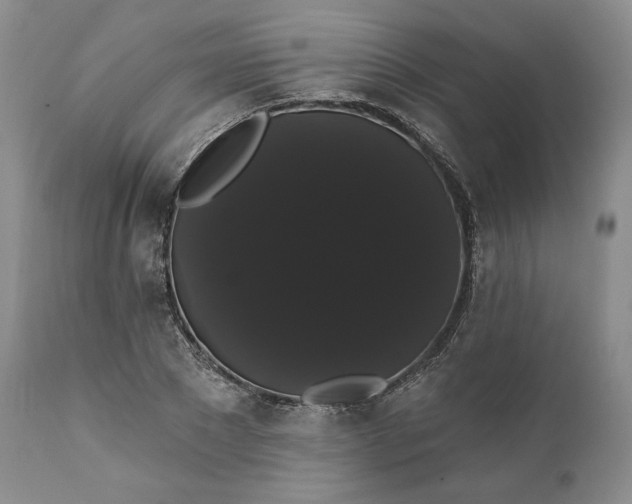 X0000111440881200907271127