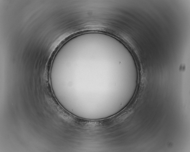 X0000111440883200907271127