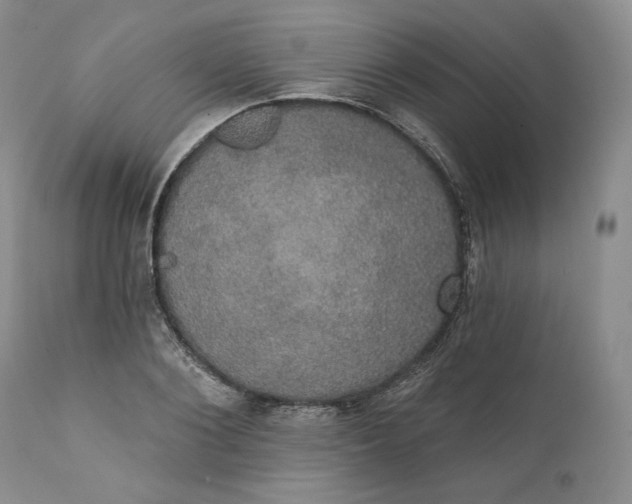 X0000111440884200907271127