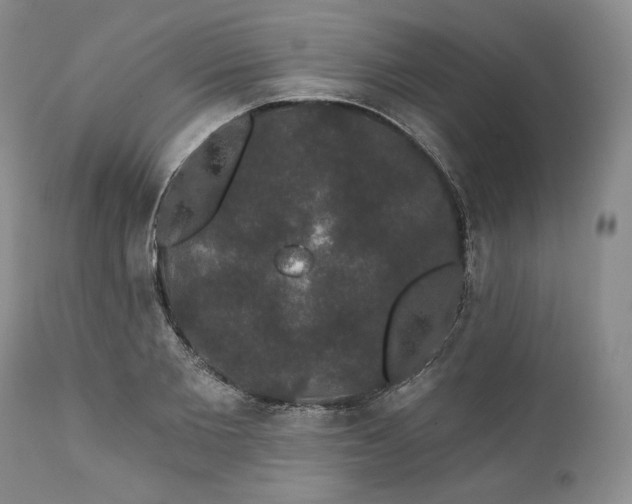 X0000111440885200907271127