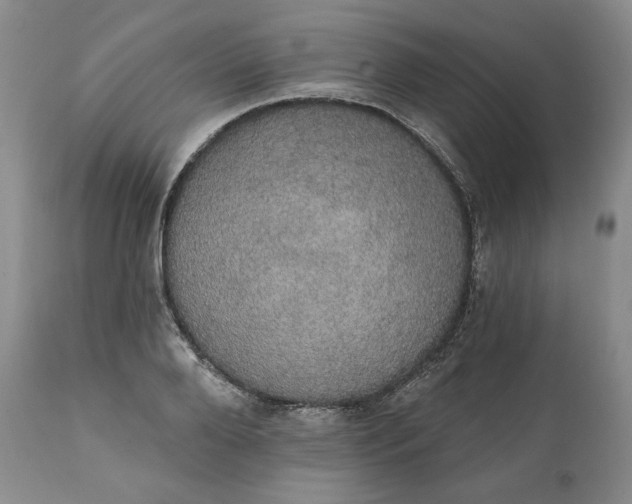 X0000111440888200907271127