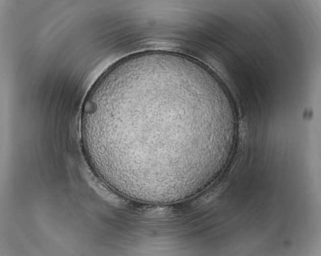 X0000111440891200907271127