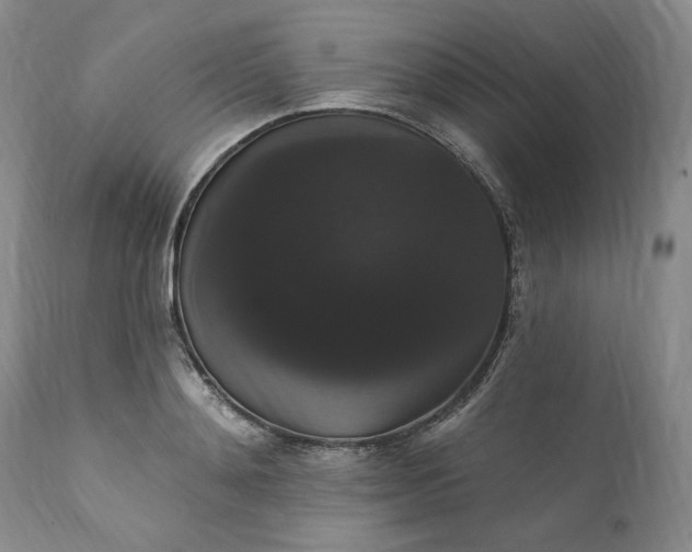 X0000111440892200907271127