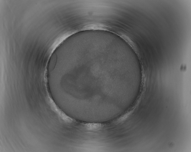 X0000111440893200907271127