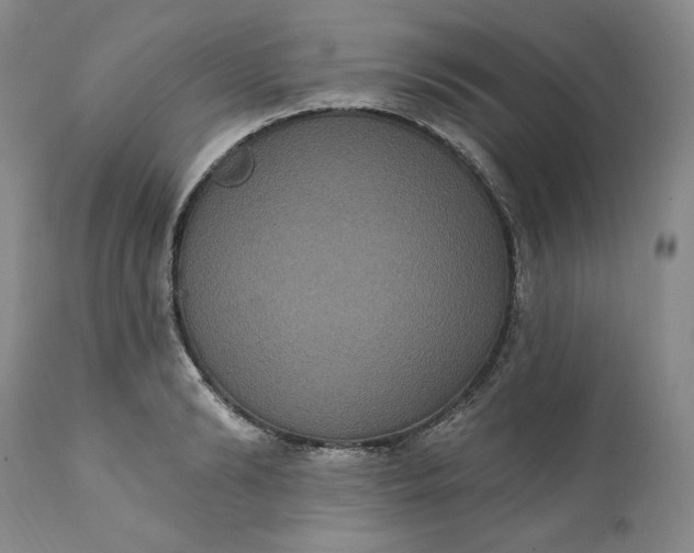 X0000111440894200907271127