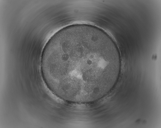 X0000111440895200907271127