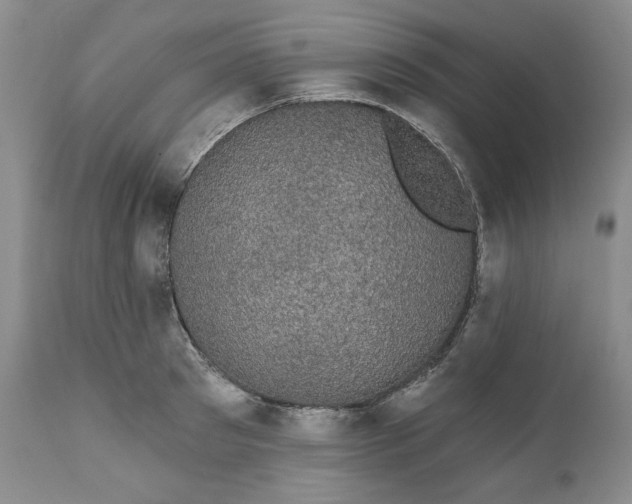 X0000111440897200907271127