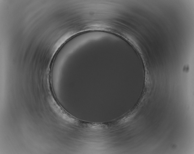 X0000111440899200907271127