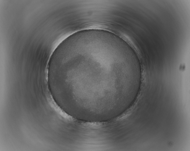 X0000111440900200907271127