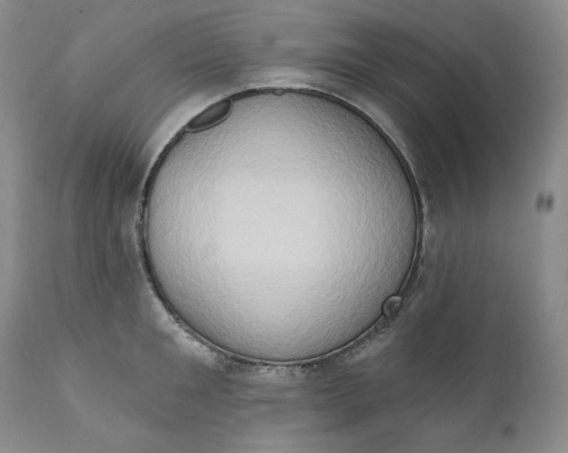 X0000111440901200907271127