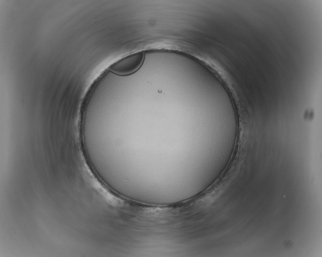 X0000111440902200907271127