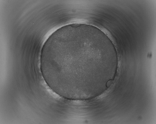 X0000111440904200907271126