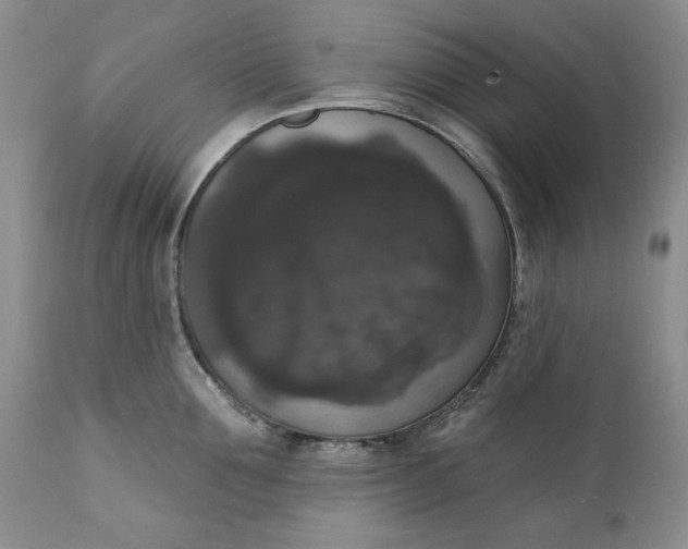 X0000111440907200907271126