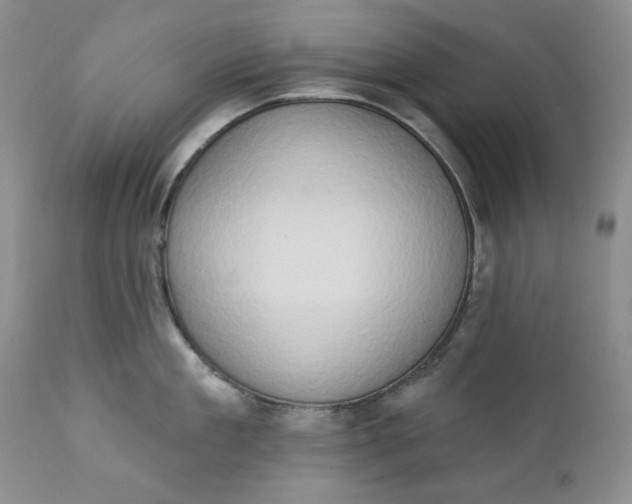 X0000111440909200907271126